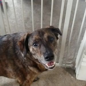 Meet your Posher, Karlee